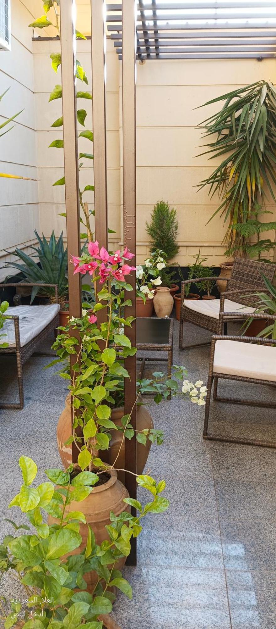 Apartment Three Rose Al Ula